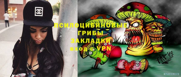 спиды Белокуриха