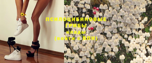 не бодяженный Беломорск